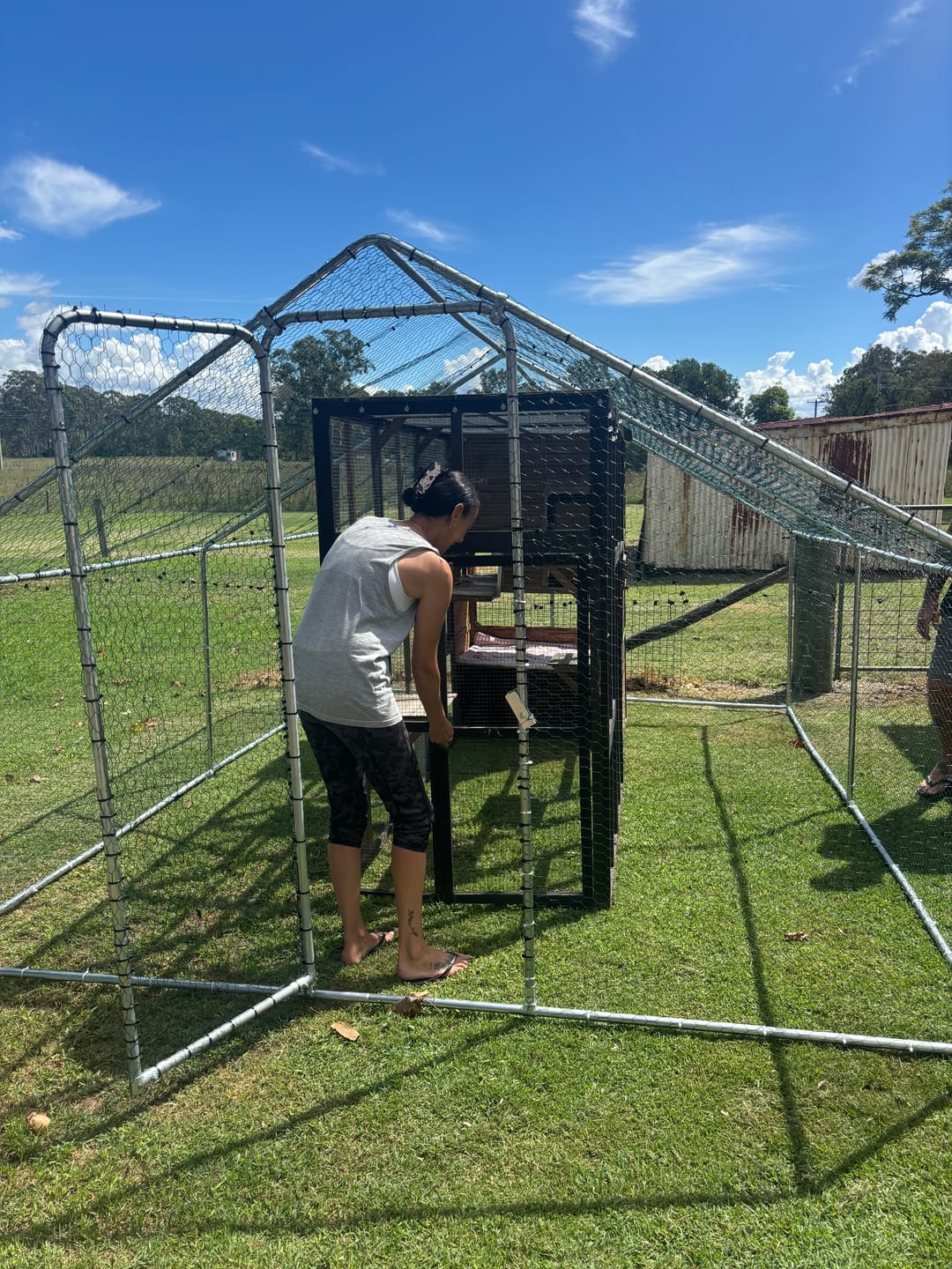 Customer photo review of Outdoor Cat Enclosure 4M