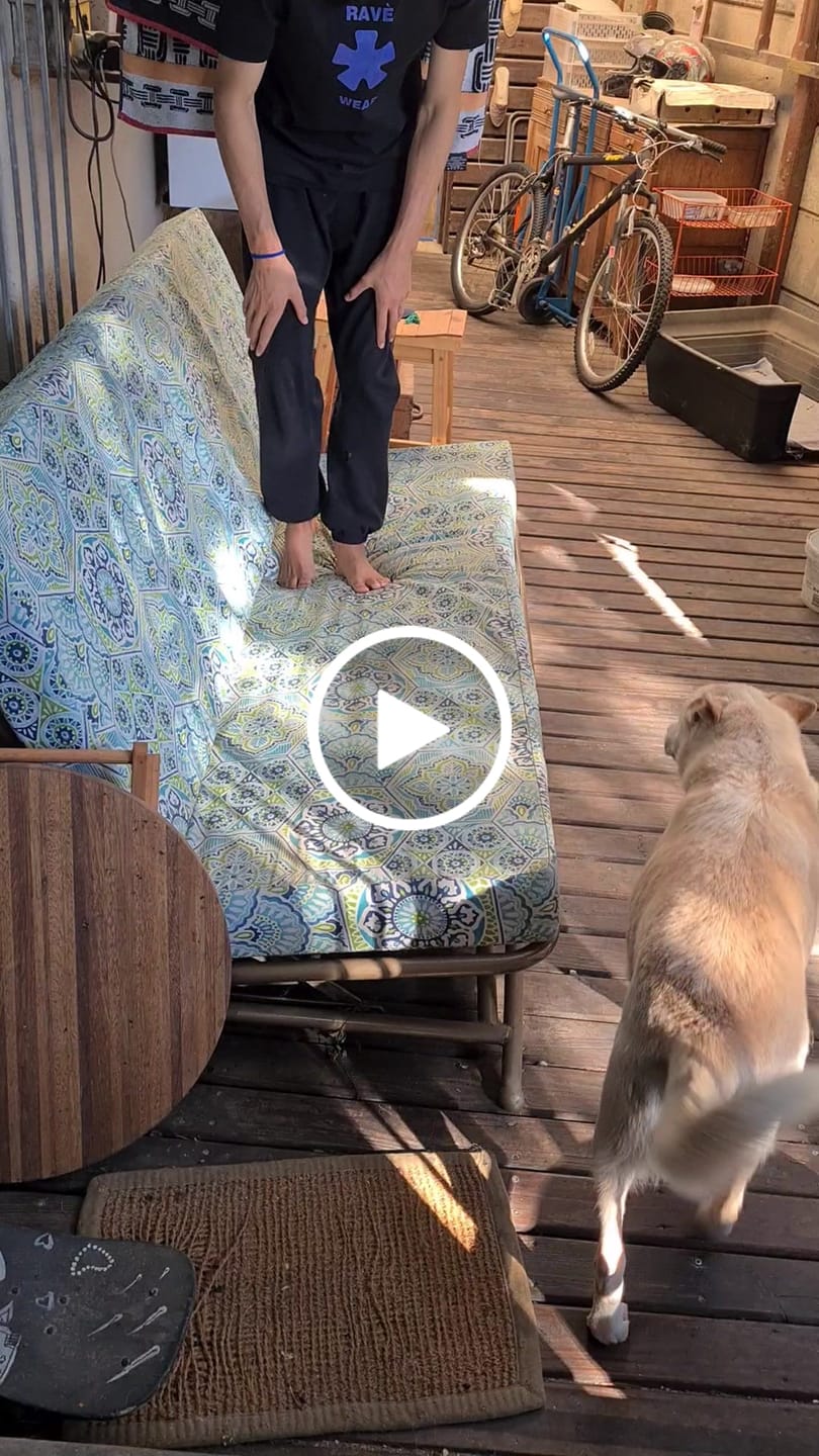 Customer video review of FlexCare (Joint & Movement Support For Dogs)