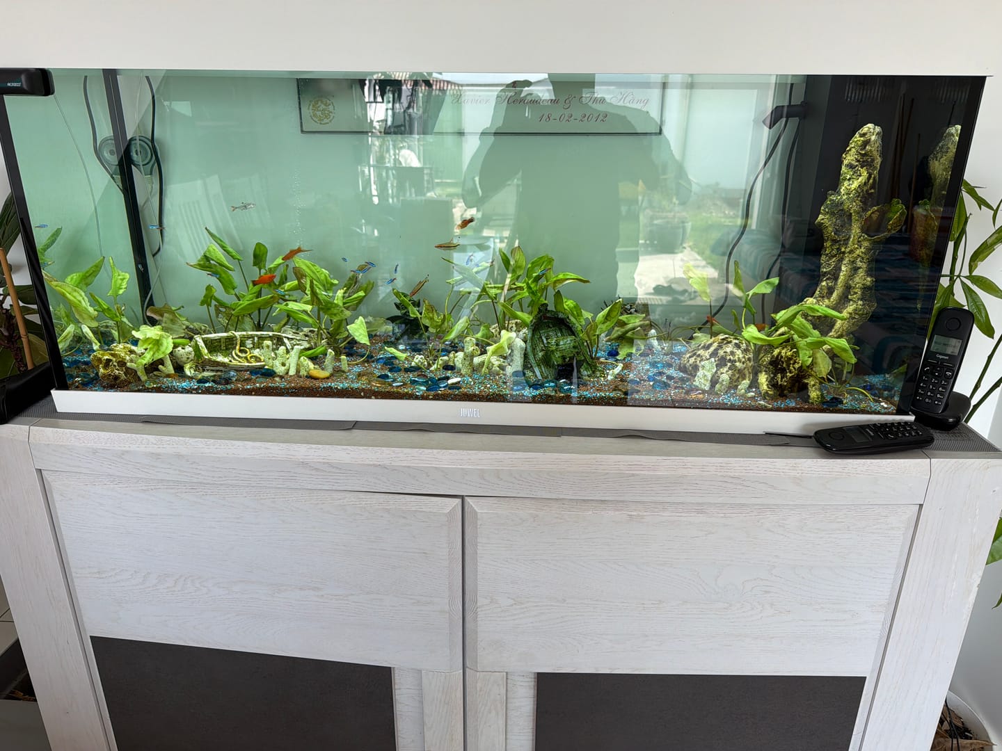 Customer photo review of Aquarium Rio 240 LED Blanc Équipé JUWEL - 240L