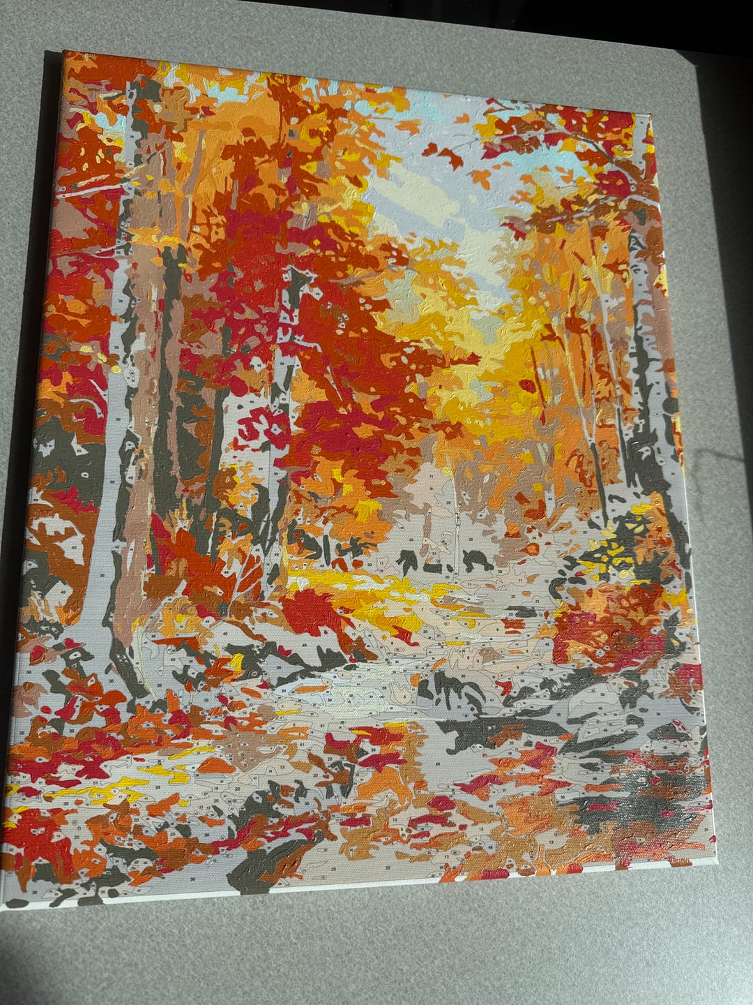 Customer photo review of Autumnal Reflections