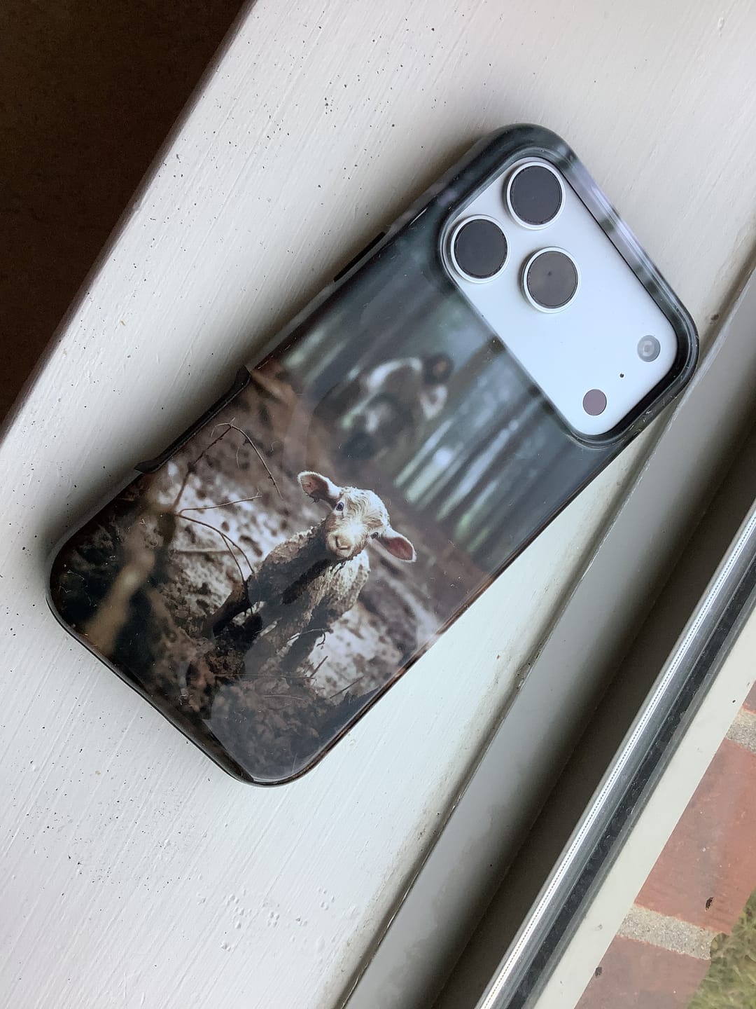 Customer photo review of Jesus With The Sheep, Jesus Running After Lamb, Phone Case