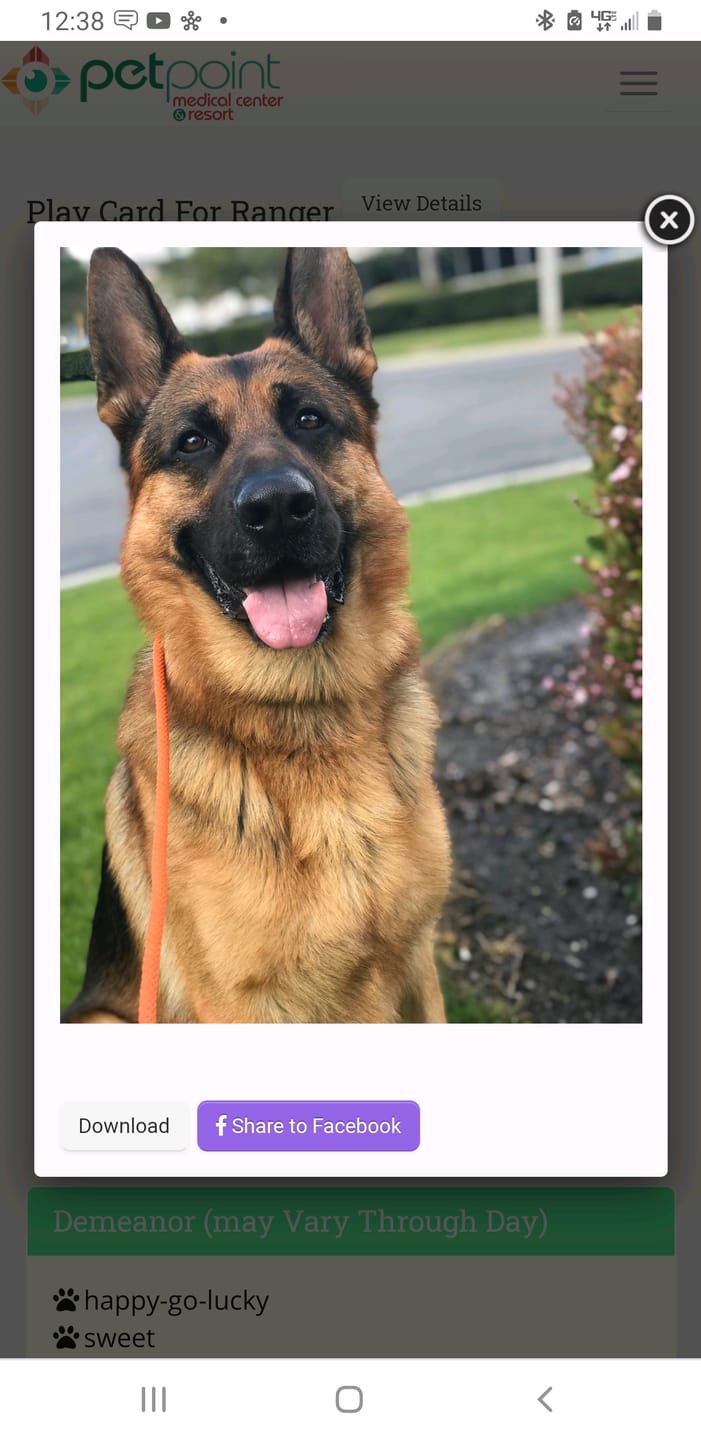 Customer photo review of Daily Dog Probiotic