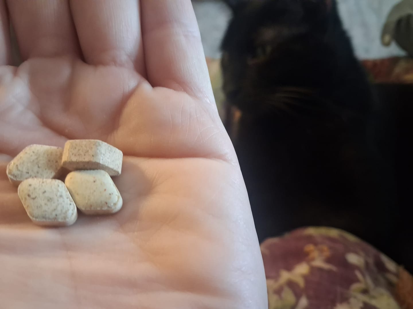 Customer photo review of 7-Hydroxy Tablets - 20MG (5 Count) 100MG