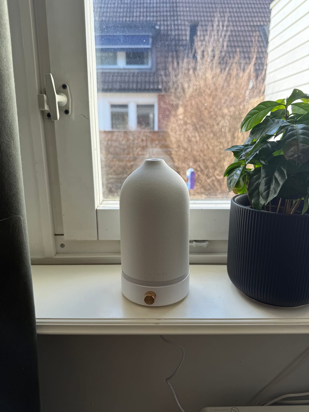 Customer photo review of Kokos Doftolja