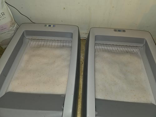 Customer photo review of Fit Litter