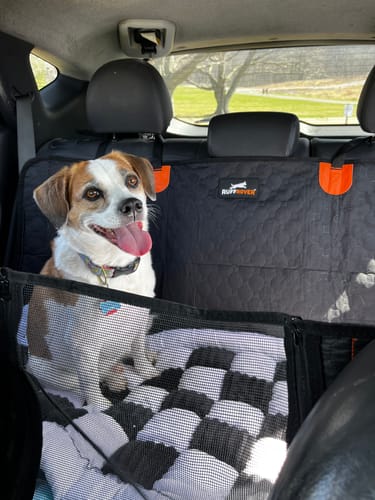 Customer photo review of RuffRover 2.0™ - Hard Bottom Dog Car Seat Protector + (FREE Dog Bed)