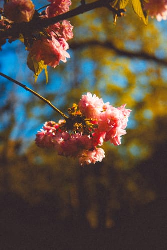 Customer photo review of MEGA PRESETS PACK