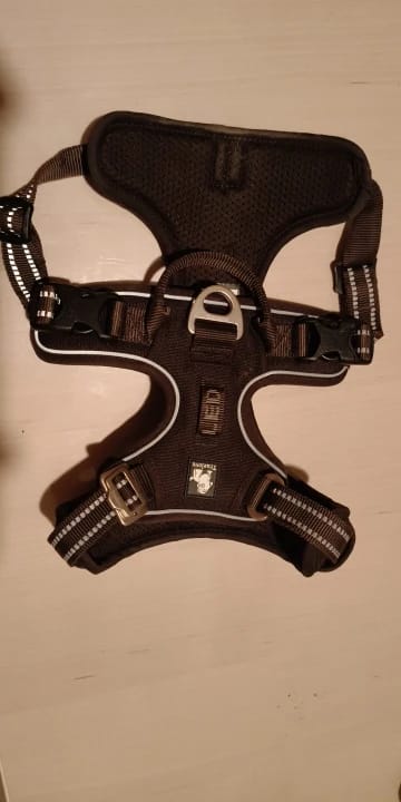 Customer photo review of TruePet Anti-Zug Hundegeschirr | Reflektierend für Nachtsicherheit | Gepolstertes Mesh mit Frontring