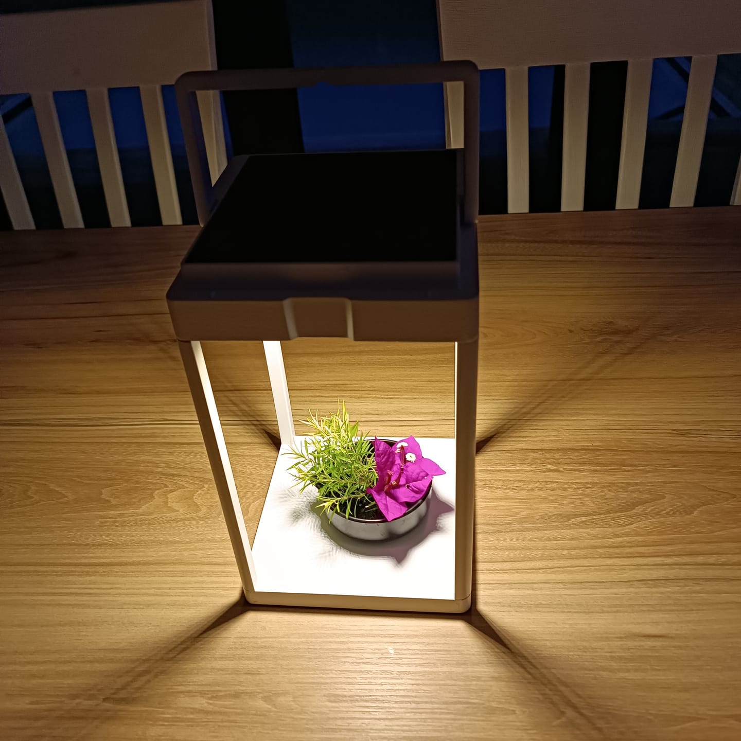 Customer photo review of Luxury Metal Solar Lantern