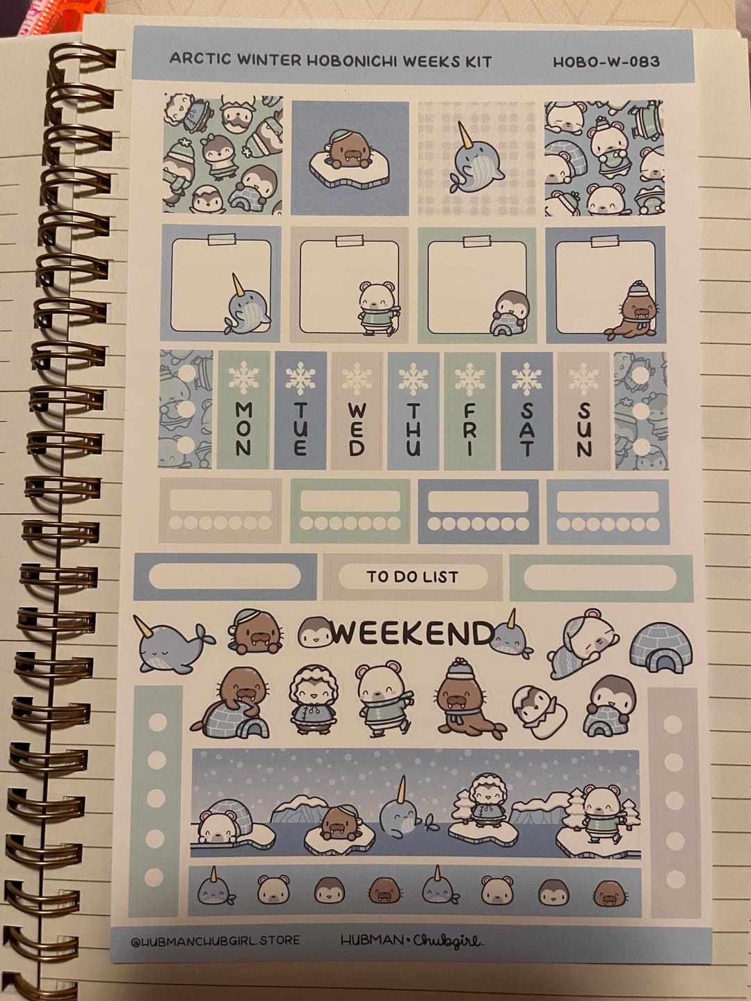 Customer photo review of Arctic Winter Theme Hobonichi Weeks Kit