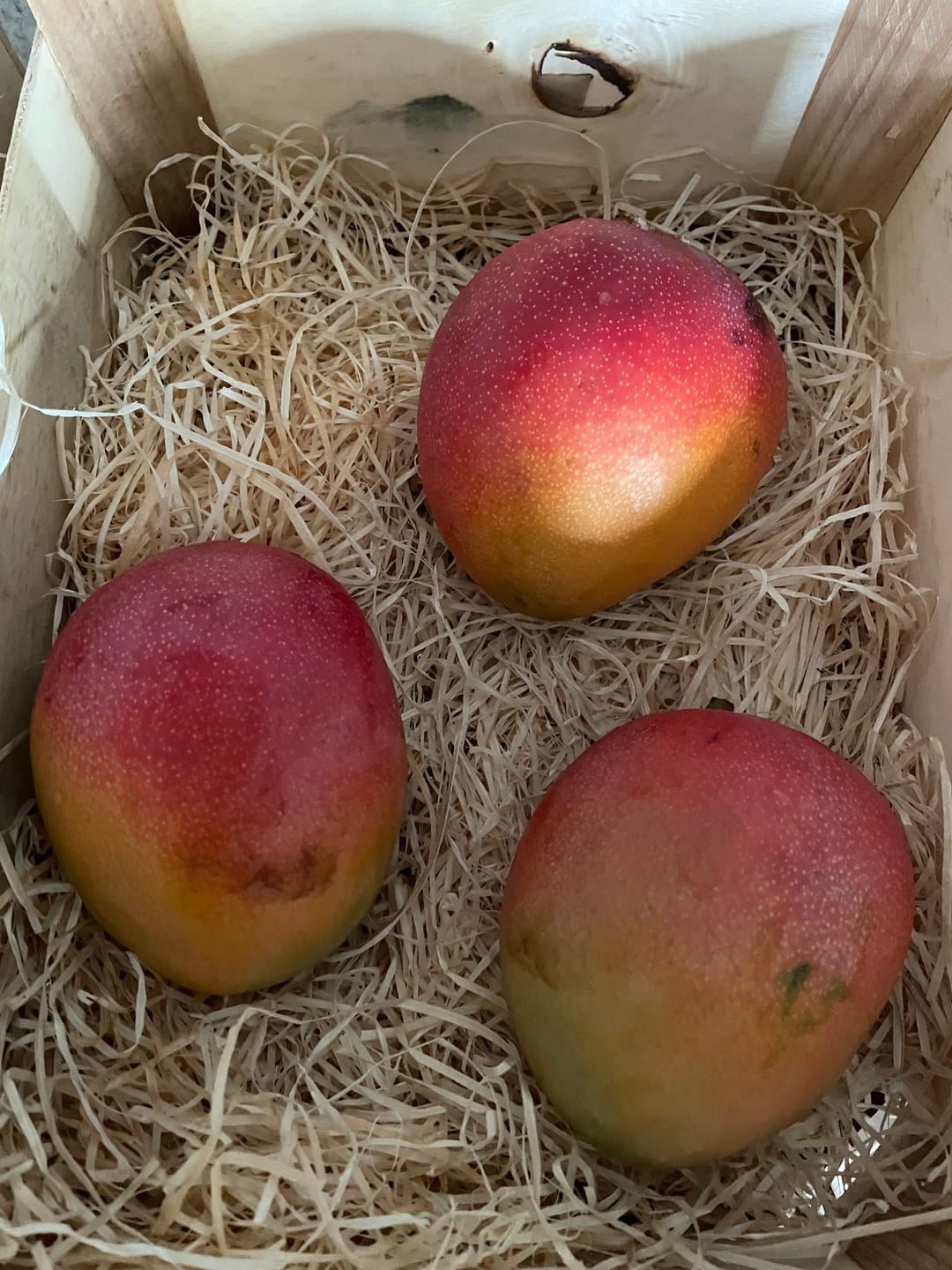 Customer photo review of Mango Kent Bio von Joe Roman baumgereifte Flugware