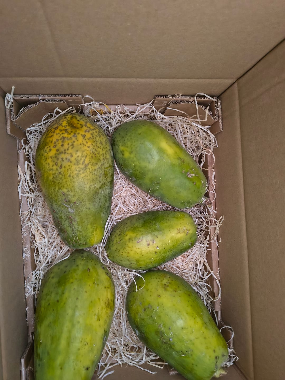 Customer photo review of Papaya Bio von Julian Wochenaktion %