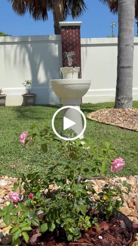 Customer video review of Lecce Cordless Fountain