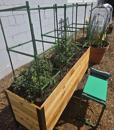 Customer photo review of 18" x 60" Raised Garden Bed - 30" TALL / Select Grade