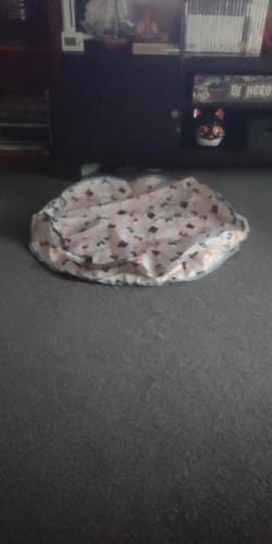 Customer photo review of Kitty-Spin - Nie wieder langweile für deine Fellnase