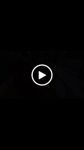 Customer video review of The Sophie Tote Bag