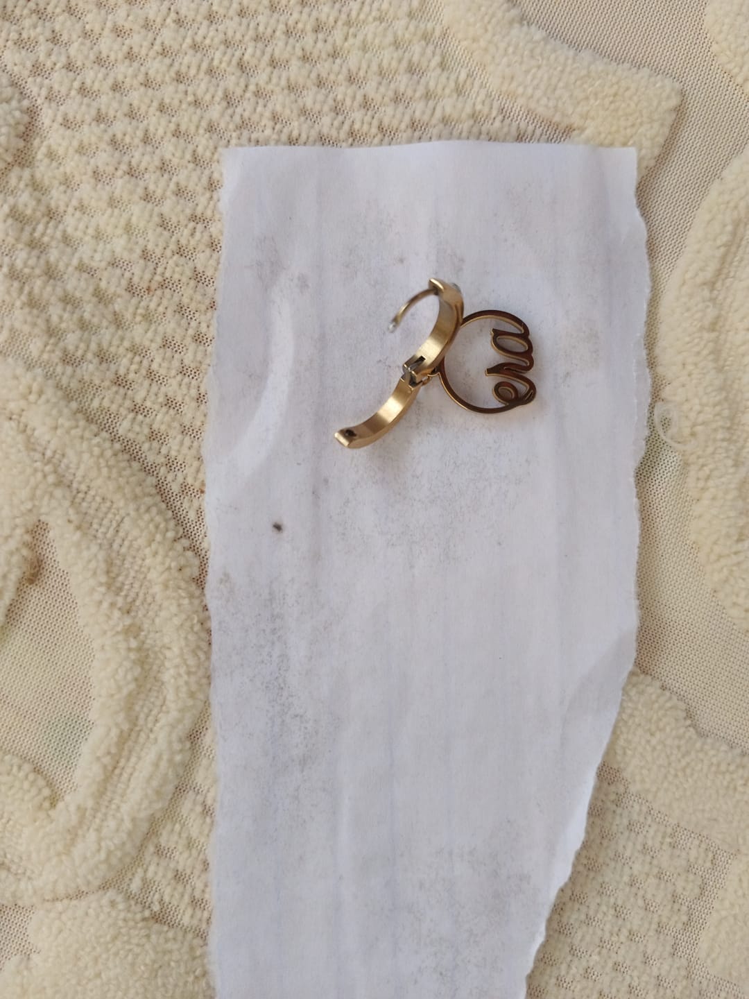 Customer photo review of Gold Precious Logo Earrings