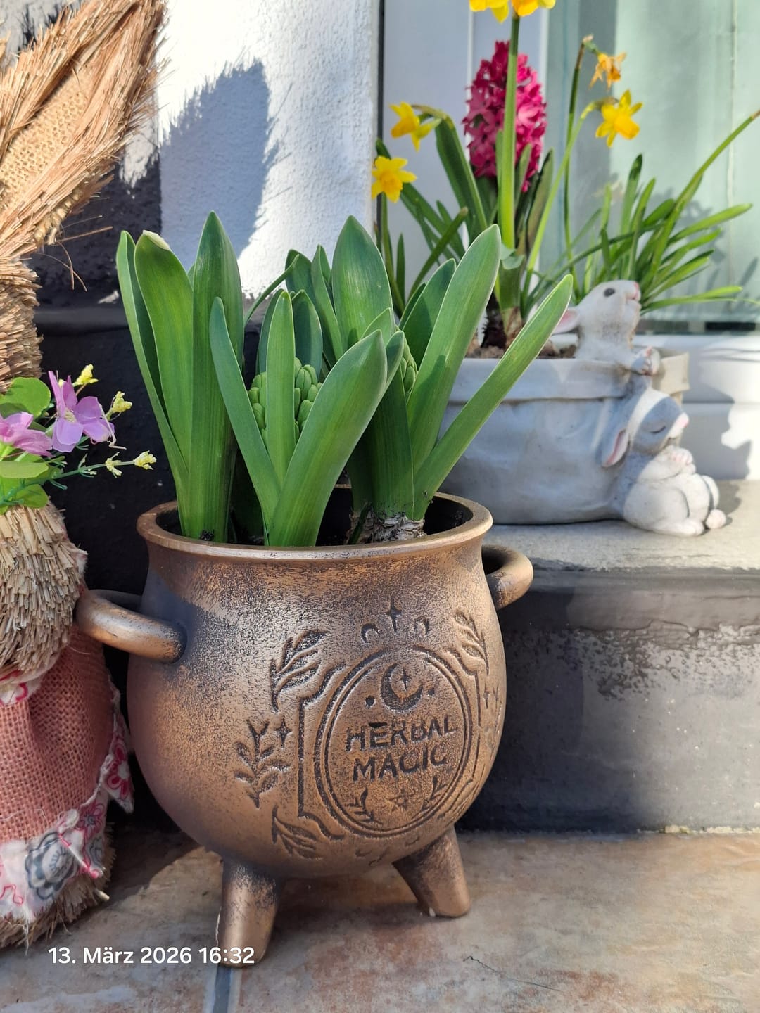 Customer photo review of Herbal Magic Kessel-Blumentopf – Terrakotta Pflanzenkessel in Bronzeoptik