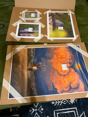 Customer photo review of 5x7 Professional Photo Prints