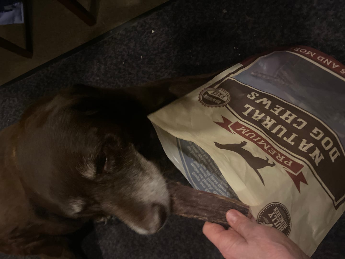Customer photo review of 6 Inch Beef Jerky Strip