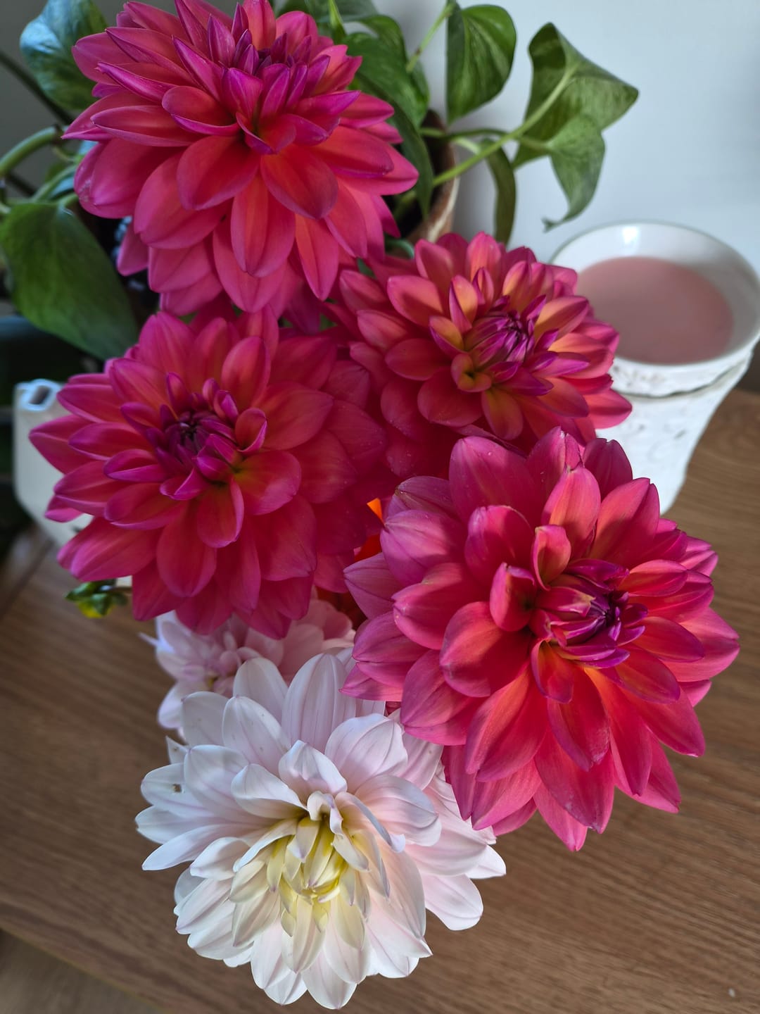 Customer photo review of Mini Poppy