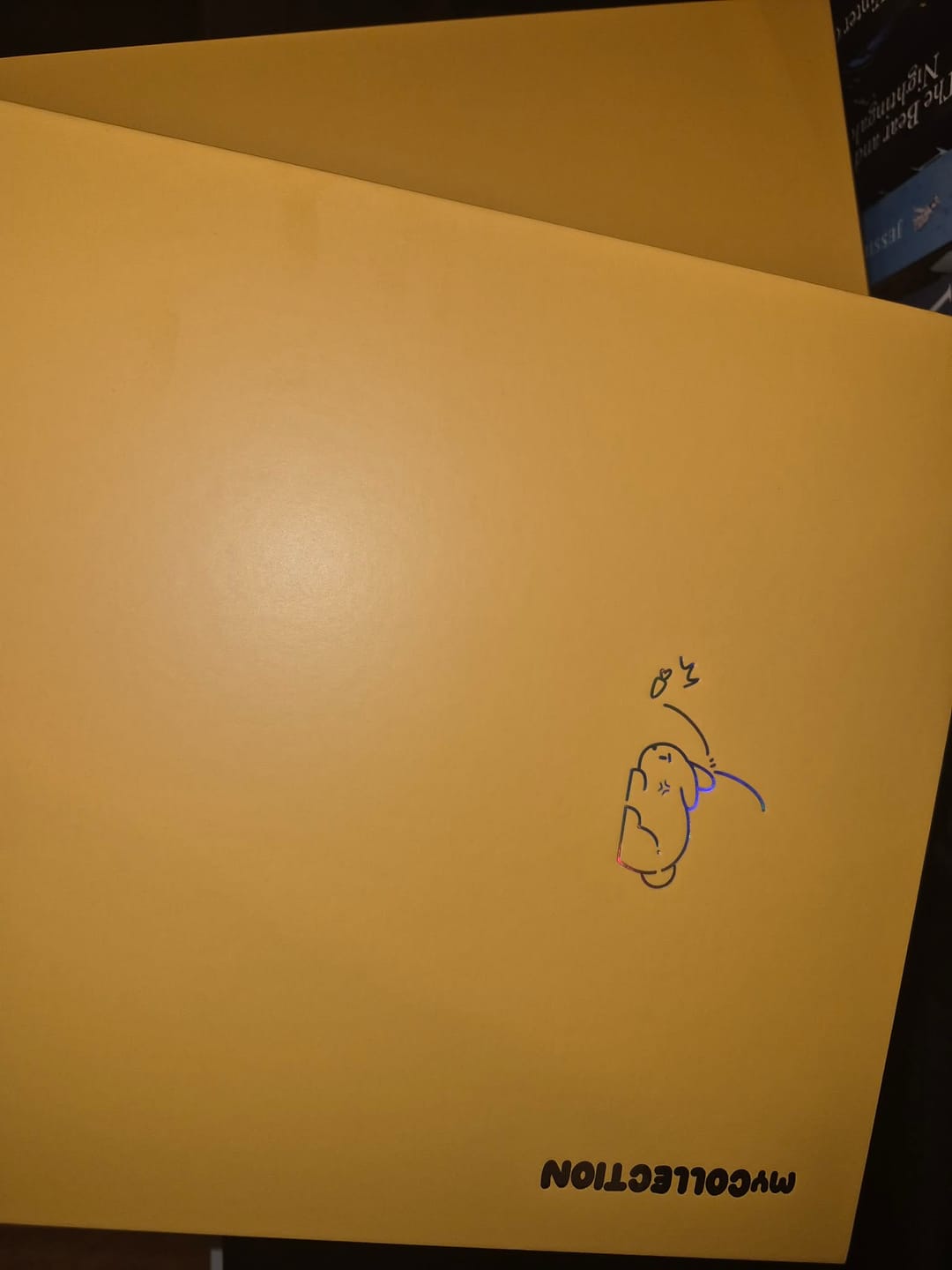 Customer photo review of Orange Bunnies - Deluxe - A5 myCOLLECTION Binder