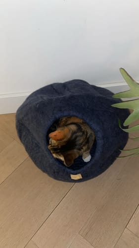 Customer photo review of WoolNest Premium