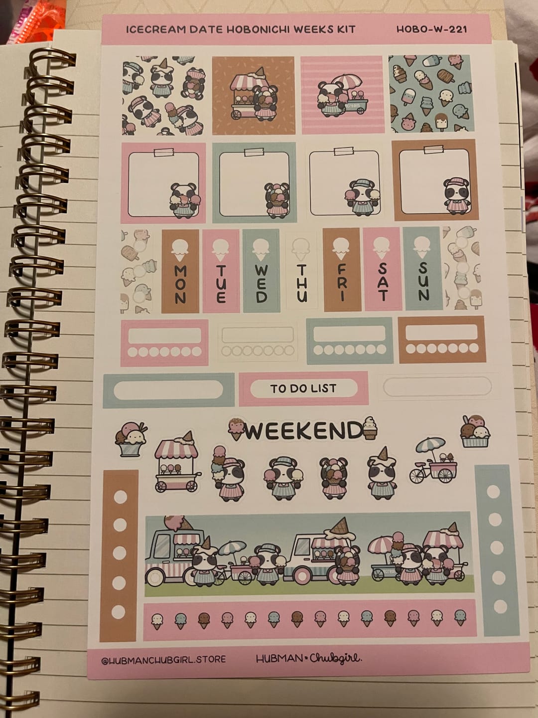 Customer photo review of Icecream Date Theme Hobonichi Weeks Kit