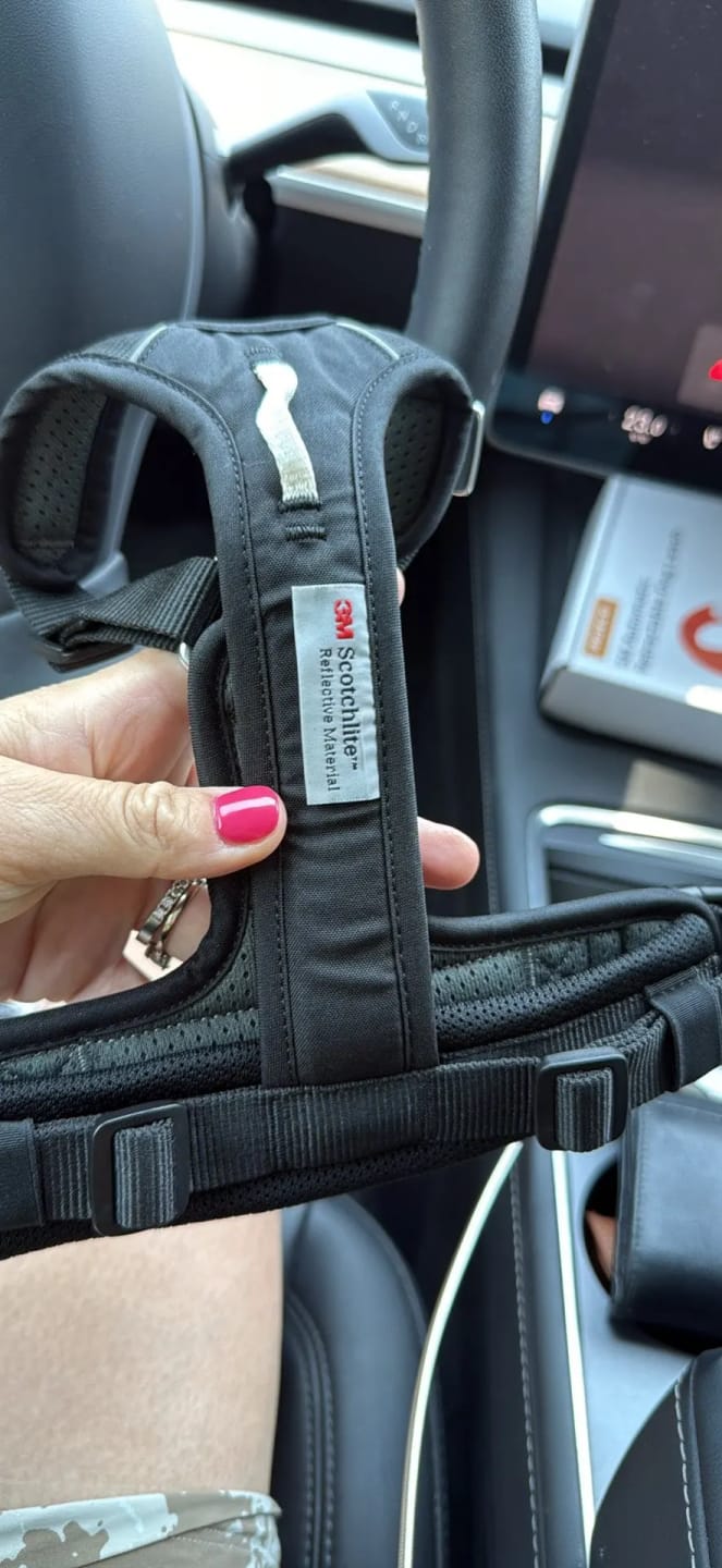 Customer photo review of Harnais chien en Y - Nylon Cordura haute résistance