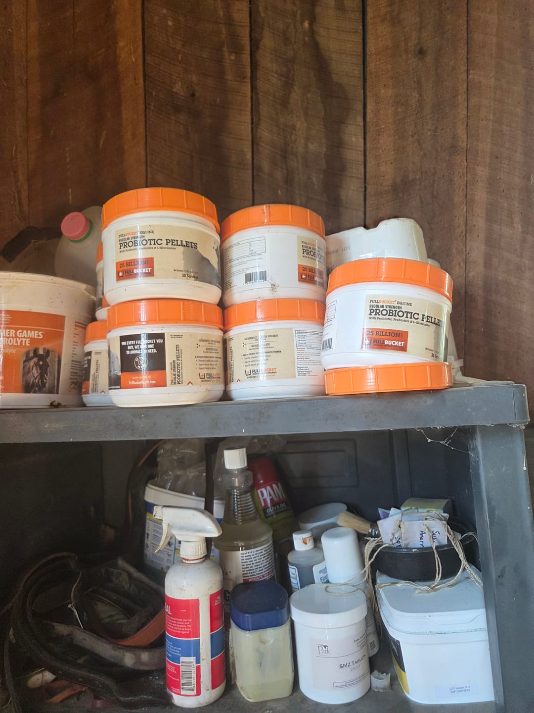 Customer photo review of Equine Probiotic Pellets