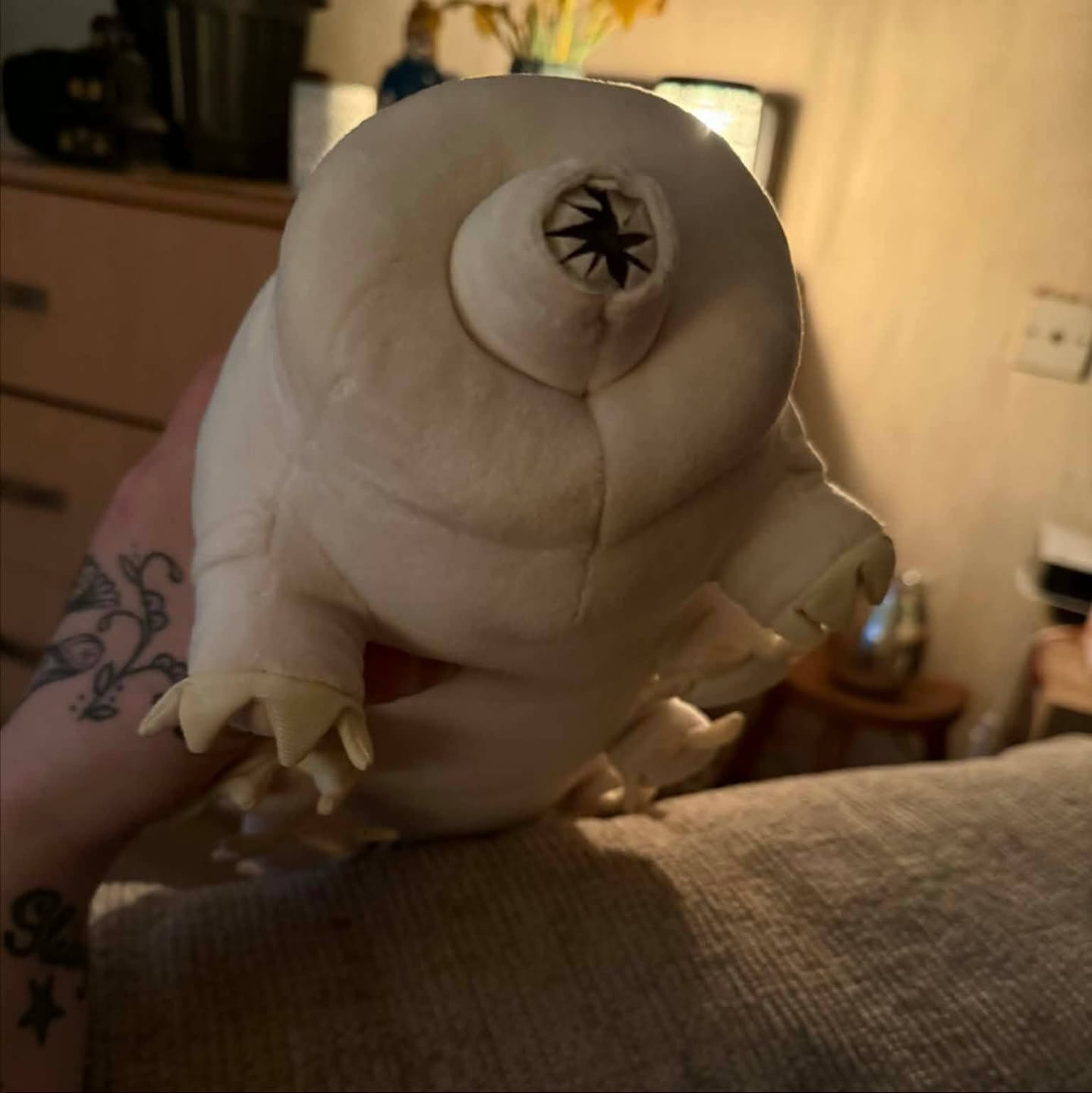 Customer photo review of Tardigrade Water Bear Soft Stuffed Plush Toy