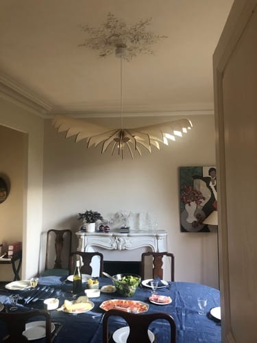 Customer photo review of Aigle teinté Chêne | Suspension
