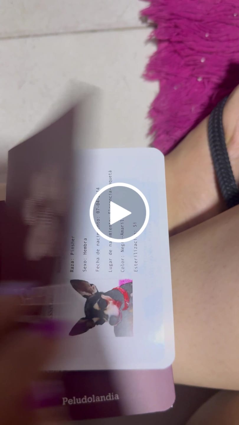 Customer video review of Pasaporte Para Mascotas