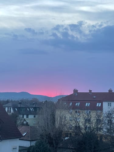 Customer's additional image of a city skyline at sunset, included with their review.