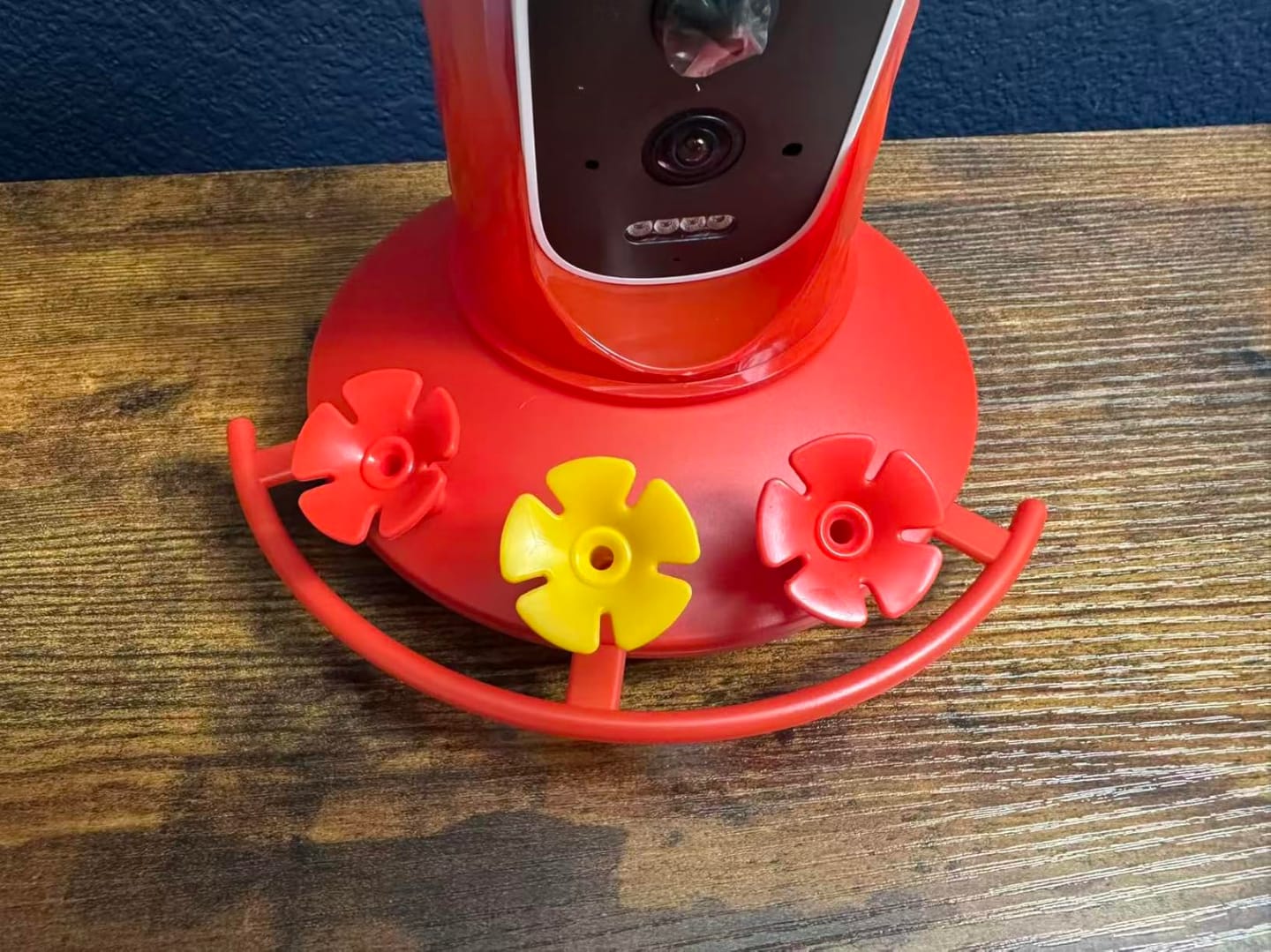 Customer photo review of VINGUYS Smart Hummingbird Feeder