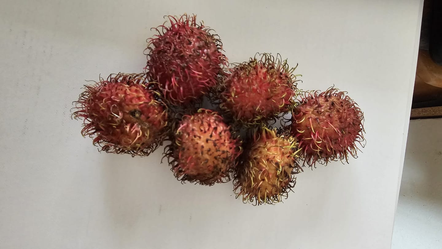 Customer photo review of Rambutan naturbelassen