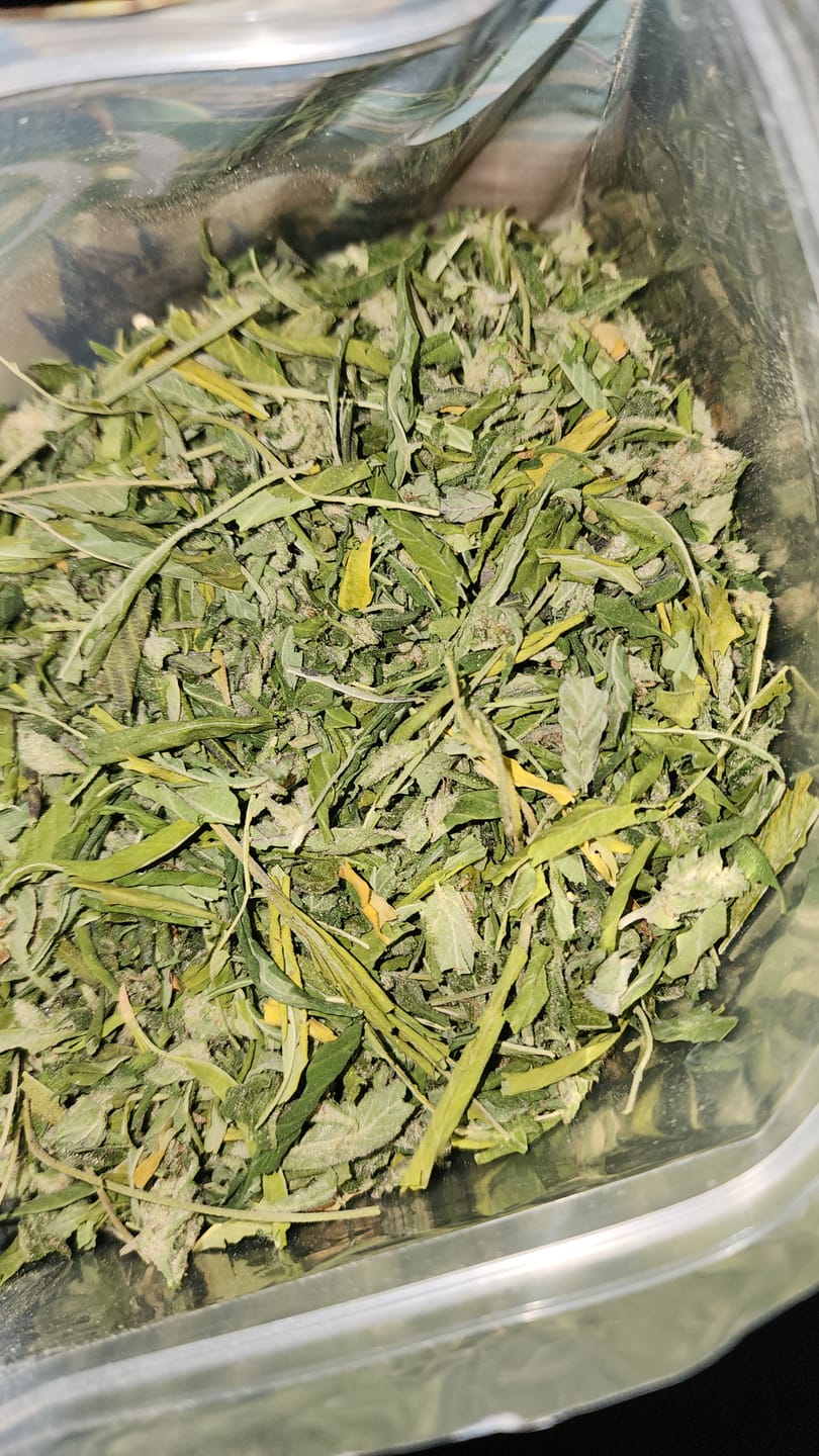 Customer photo review of Cheap THCA Flower Trim