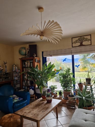 Customer photo review of Aigle teinté Chêne | Suspension
