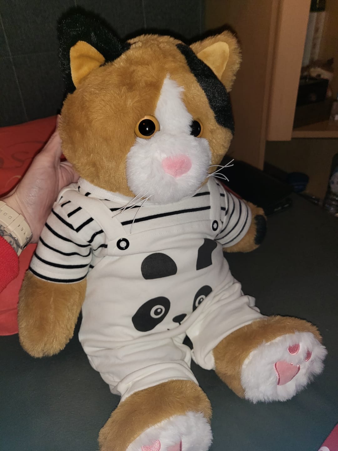 Customer photo review of Verzwaringsknuffel Kat 2,2 kg + Gratis Pittenzakje