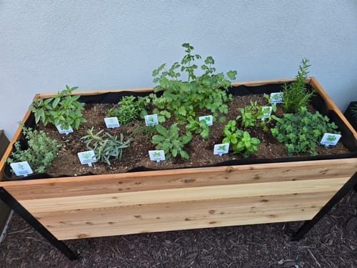 Customer photo review of 18" x 48" Raised Garden Bed - 30" TALL / Select Grade