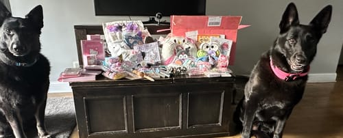 Customer photo review of A-Mystery Lucky Scoop Game
