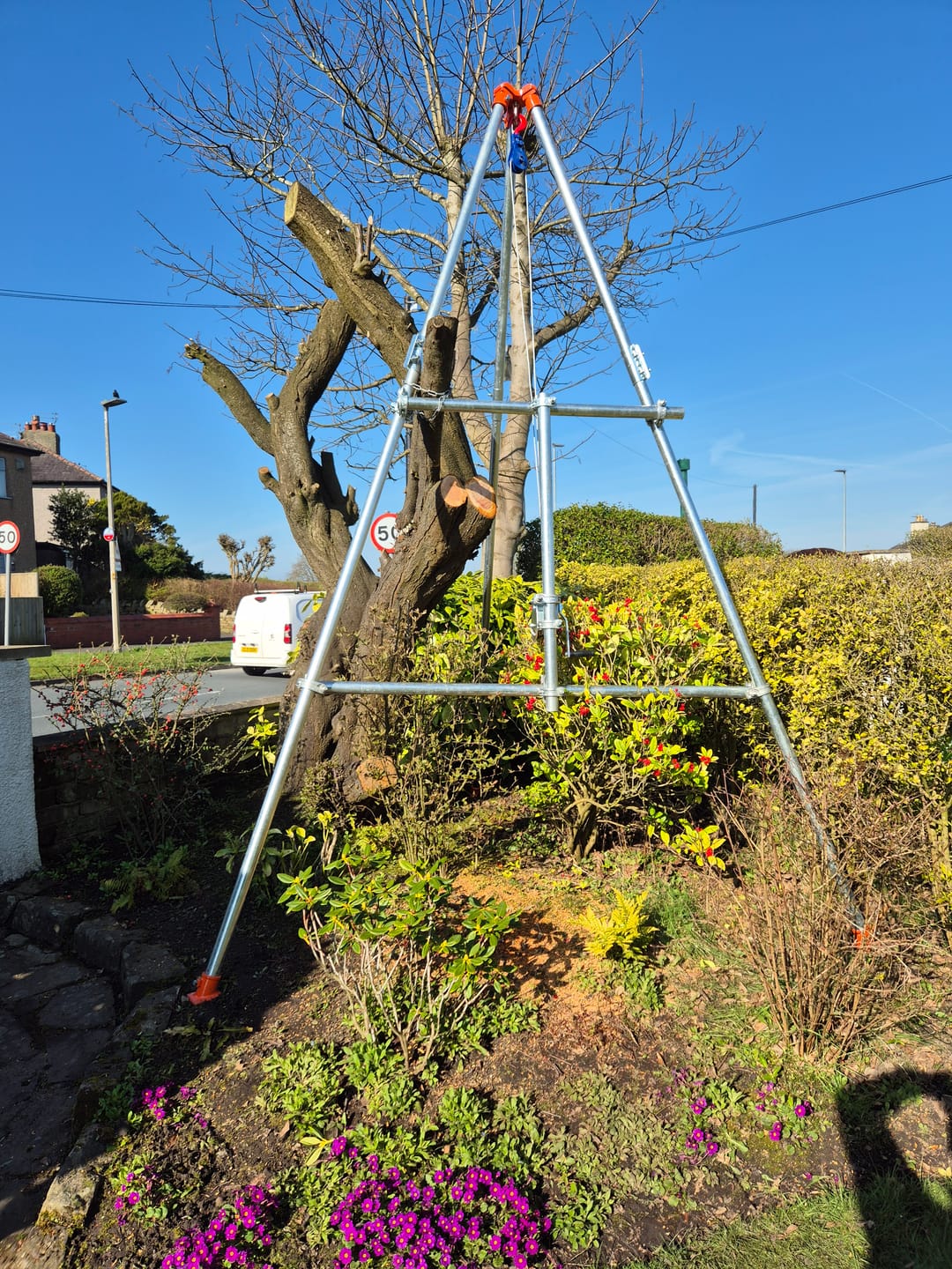 Customer photo review of Scaffold Tube