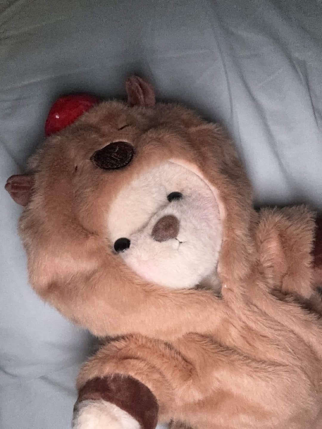 Customer photo review of Capybara