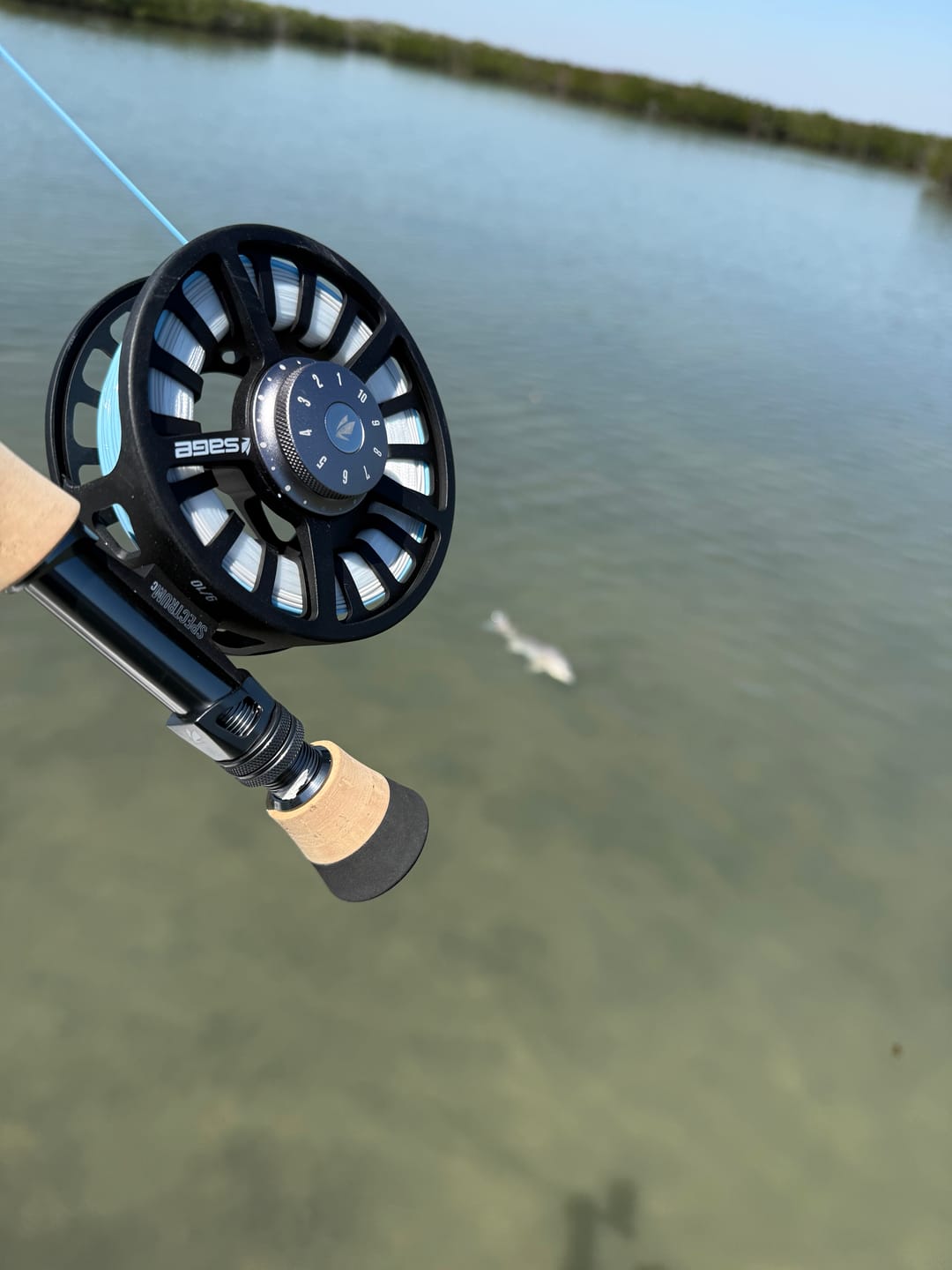 Customer photo review of Sage Spectrum C Fly Reel