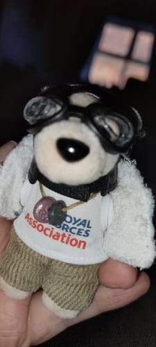 Customer photo review of RAF Association Pilot Bear Magnet