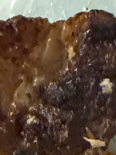 Customer photo review of Aged Ribeye