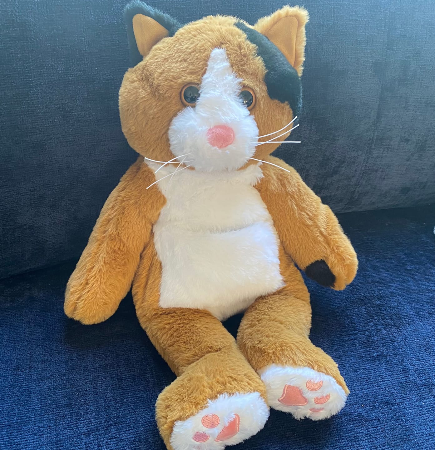 Customer photo review of Verzwaringsknuffel Kat 2,2 kg + Gratis Pittenzakje