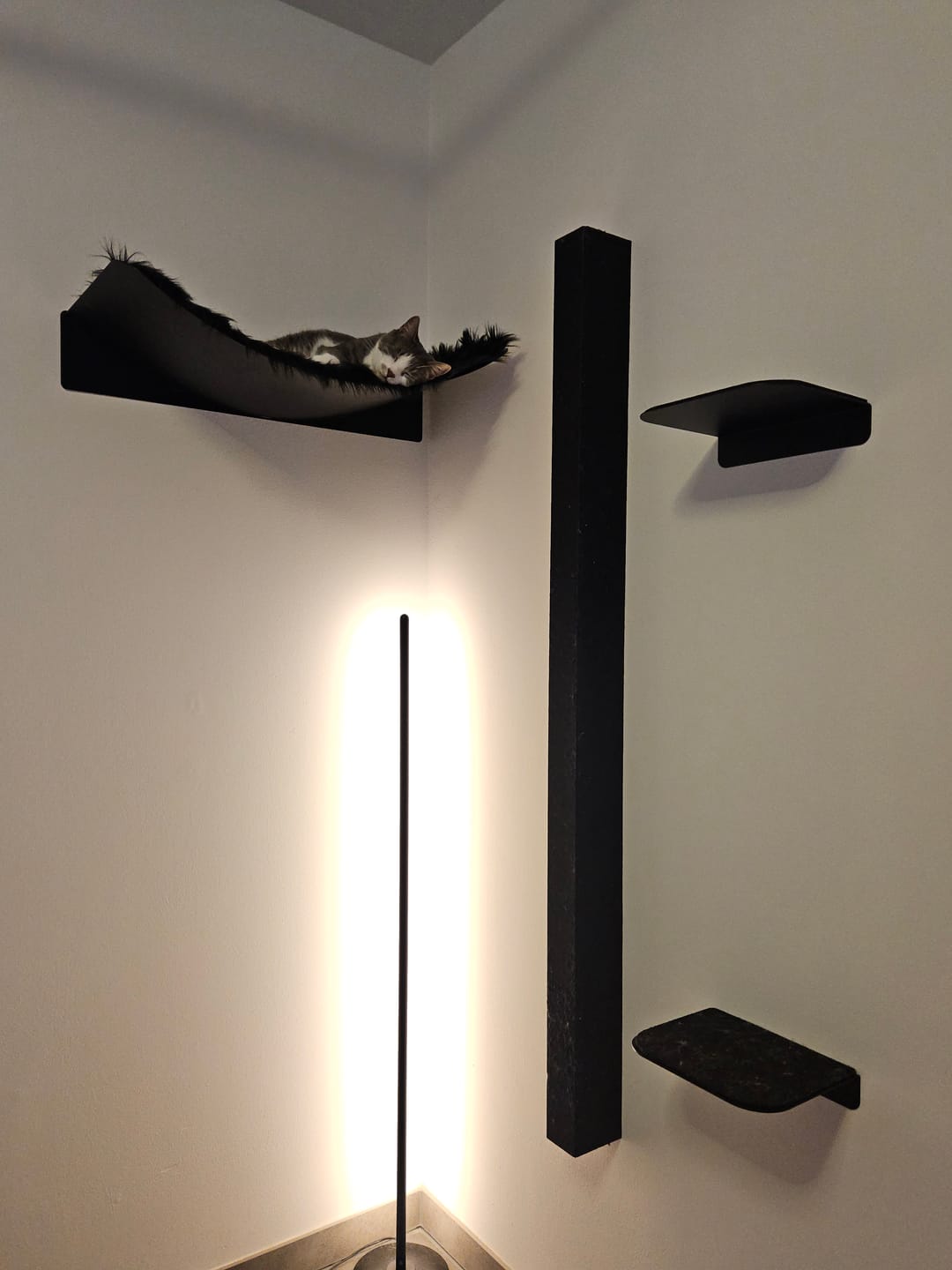 Customer photo review of STYA Katzen Kletterwand | Set Essence | Kratzstamm KS150 + XXL Hängematte WL370
