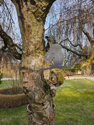 Customer photo review of Baumstecker Eichhörnchen