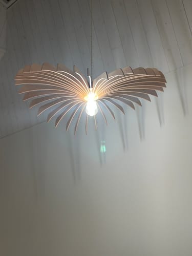 Customer photo review of Aigle teinté Chêne | Suspension
